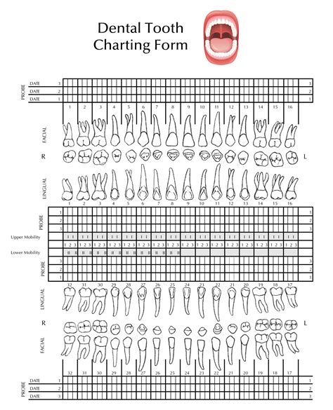 Pdf Printable Dental Charting Forms